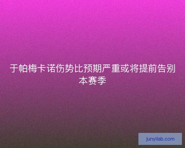 于帕梅卡诺伤势比预期严重或将提前告别本赛季