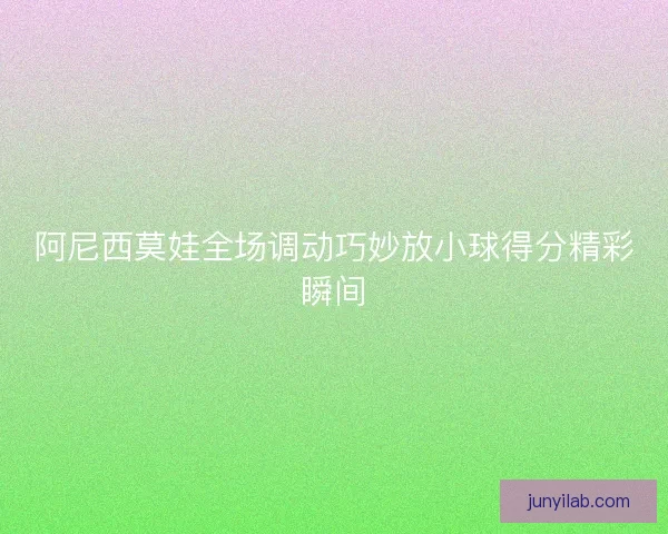 阿尼西莫娃全场调动巧妙放小球得分精彩瞬间